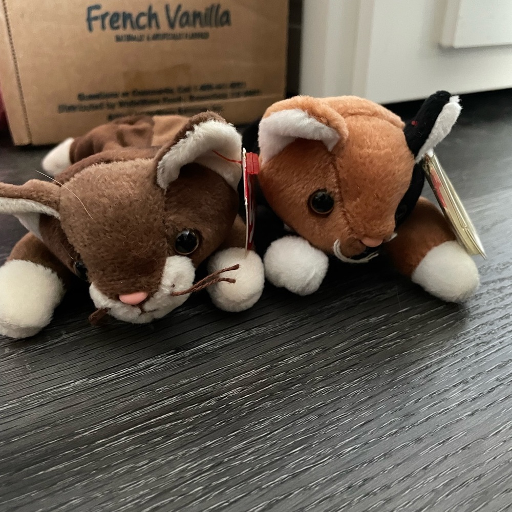 Two cat beanie babies